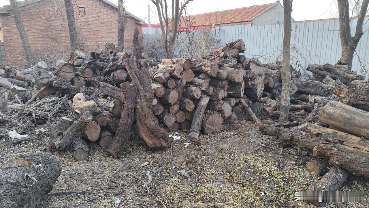 分享我这周有趣的事：
这一周，收拾了一下我料场的木头，挑出来几根品相不错的香椿木