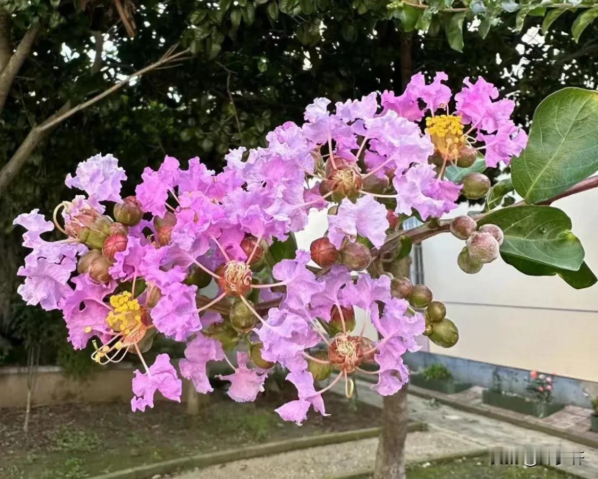 念奴娇·系意吴荣楚先生
燕旭

春分夏至，念一邦城域，永代心友。绿线溶和高卧处，