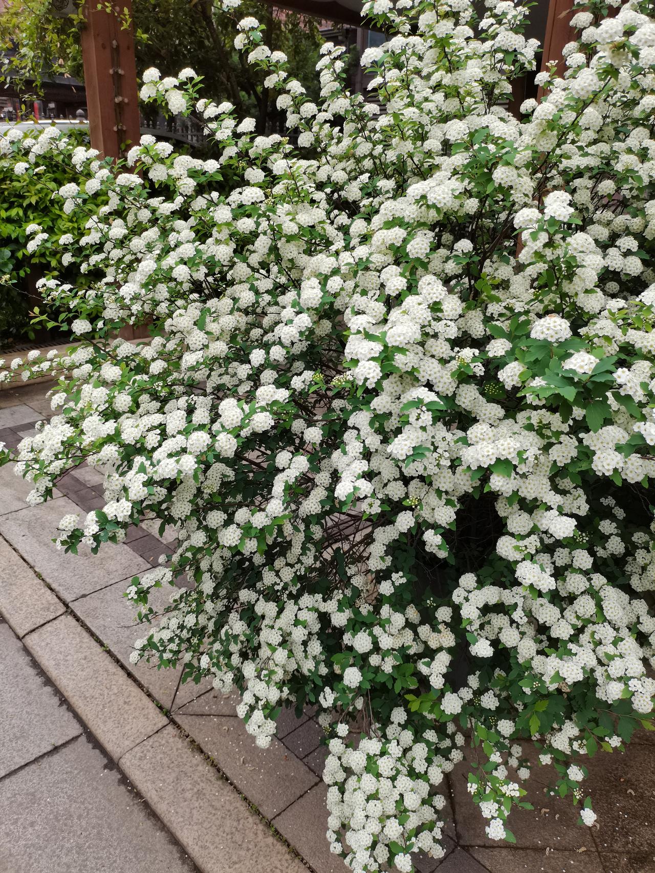 我发现，
做会计的都能存到钱。

之前在六安认识一个姐妹，
比我大两岁，
个子也