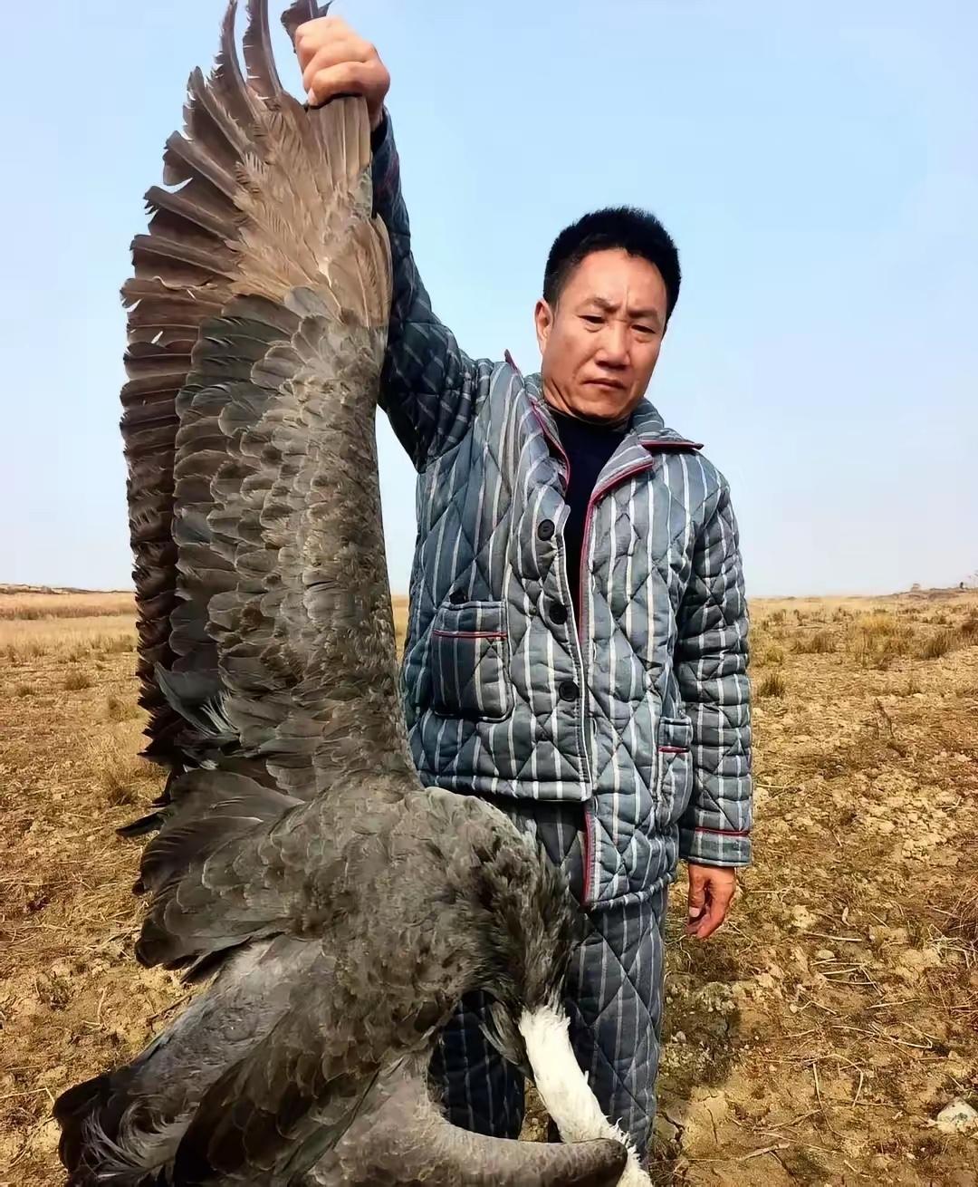 鄱阳湖出事了，志愿者在禁猎核心区摸黑巡护时捡到一包白色颗粒，一验成分是被农业部明