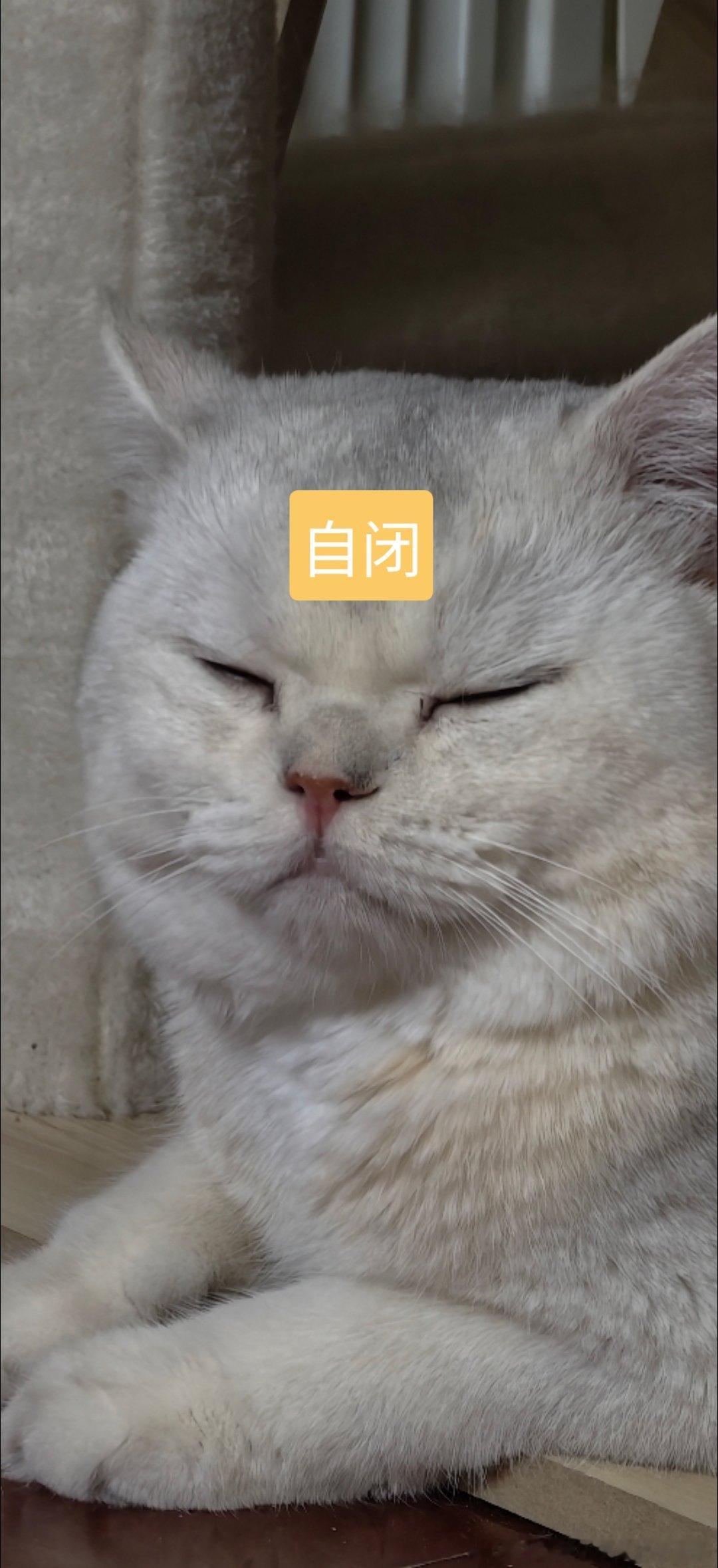 周深周深2026深深的巡回演唱会 盘点几次亲手抢到票之诡异场所:晚高峰地铁进站开