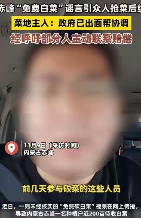 “造谣把菜地搬空！后续来了”赤峰百亩白菜被网传“免费砍”，七八百人持刀拖车头抢光