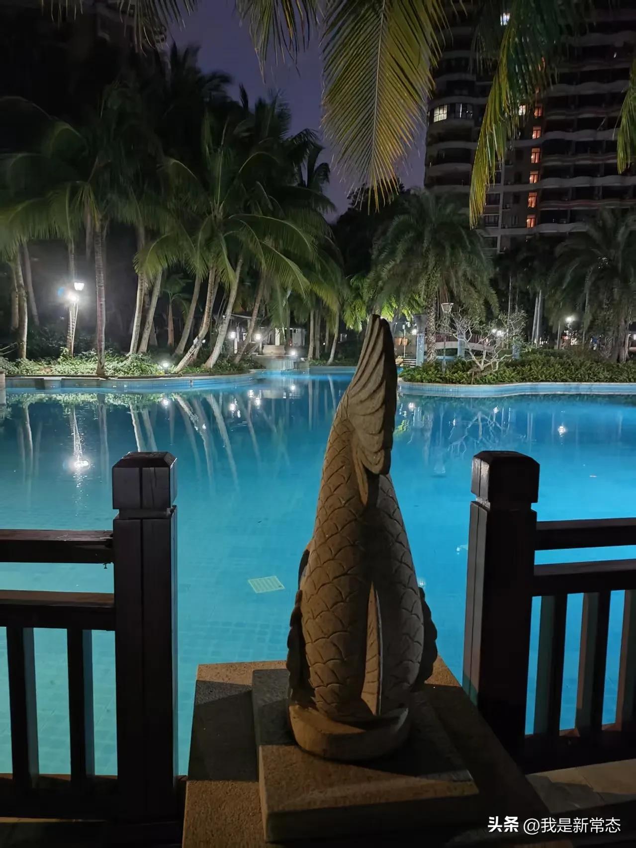时隔半年，再来文昌逸龙湾，风景依旧，池水平静，但我心却是翻涌。