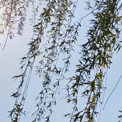 命运给你一个较低的起点，是想让你用你的一生去奋斗出一个绝地反击的故事。这个故事关