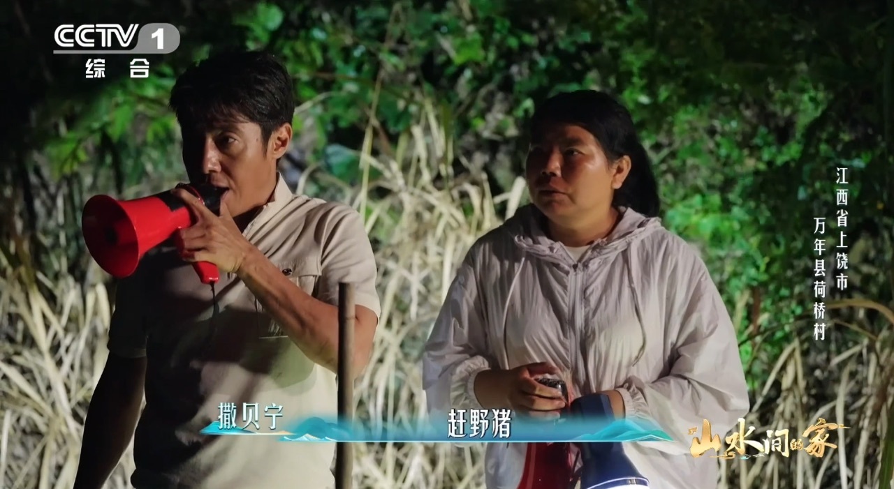 撒贝宁沙溢半夜出门赶野猪本来以为是沉浸式乡村纪实片段，结果被撒贝宁和沙溢半夜赶野