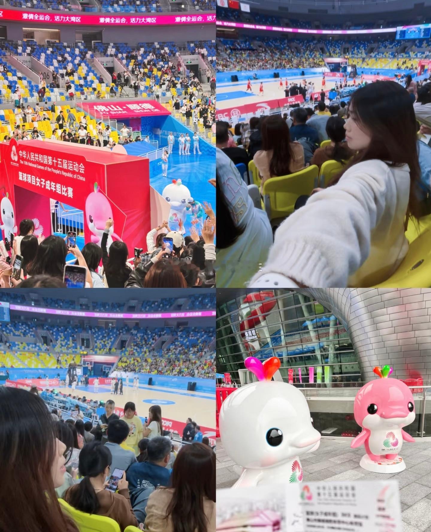 活力大湾区，魅力新顺德🏀全运会观赛全攻略赛场内巾帼争锋，赛场外美食飘香，这座岭