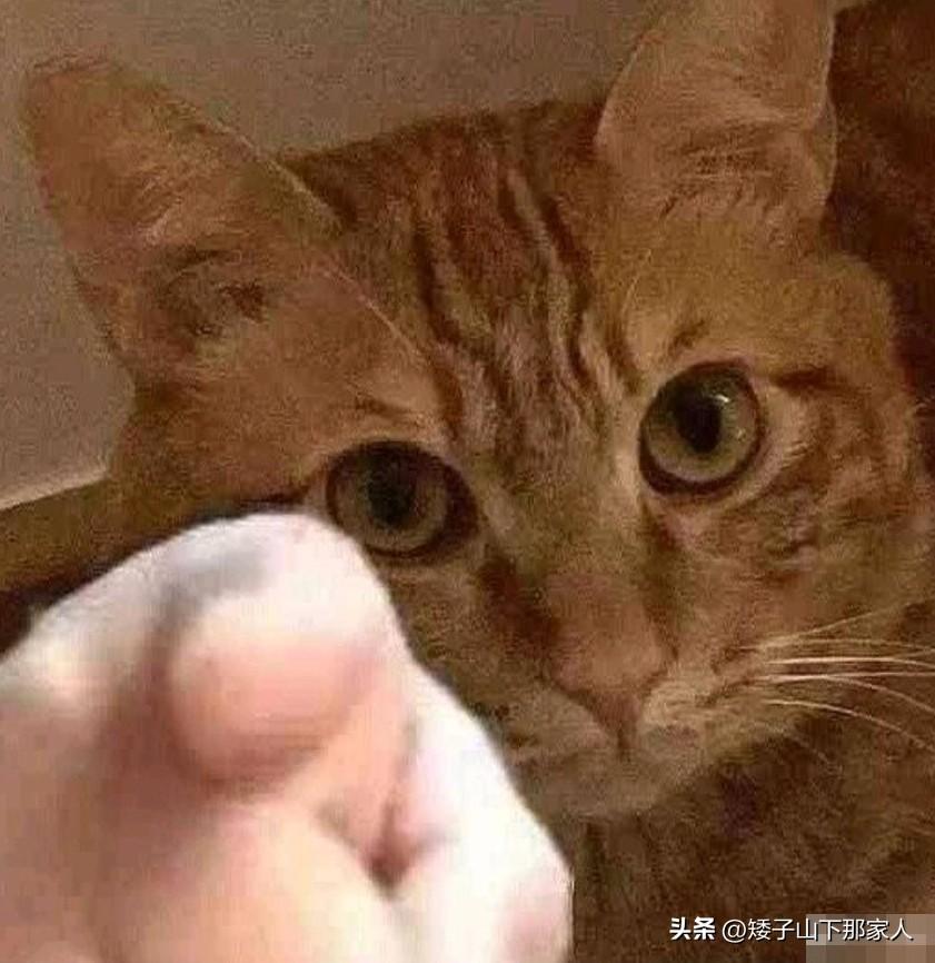 被指的人来一张吊图！