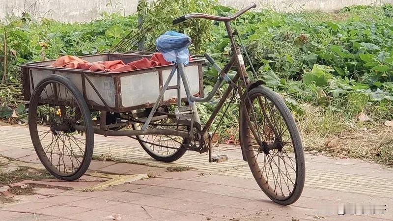 马上过年了，在年底失业，这日子还要继续。有人推荐搞个三轮车卖水果，我看了株洲大街