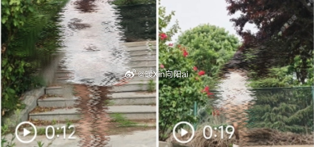 还是以前好，自由～ 