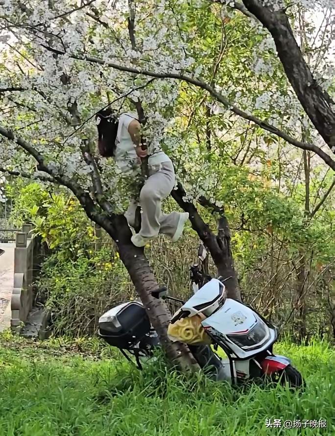 天哪！真是不作死就不会死，非得赔得倾家荡产才罢休！
4月6日，有位身形臃肿的大妈