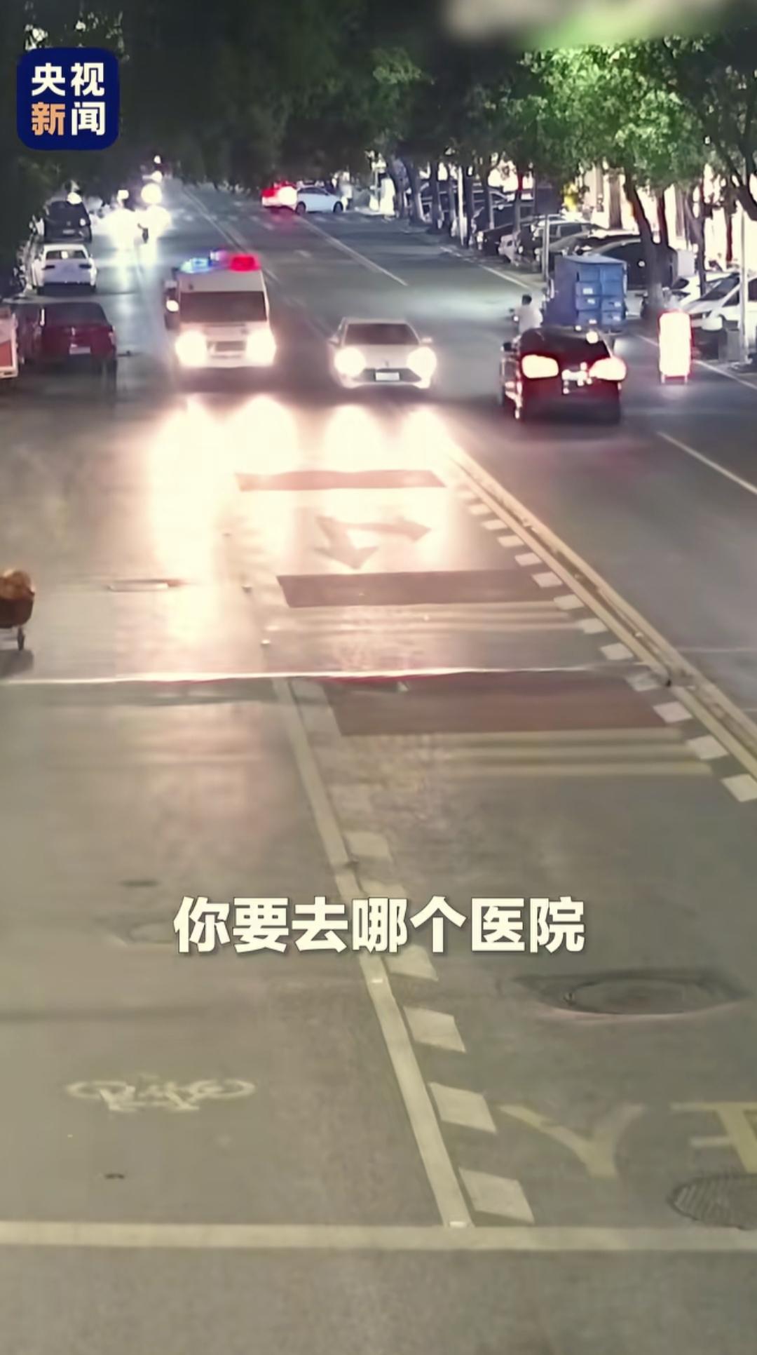 晚上九点多钟，在浙江嘉兴桐乡的街道上，一辆轿车鸣着喇叭，加速向一辆返程的警车靠近