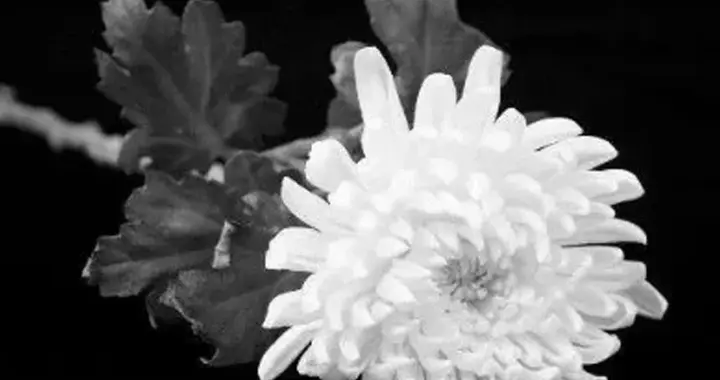 著名传媒人去世！曾推出现象级节目《快乐大本营》《超级女声》