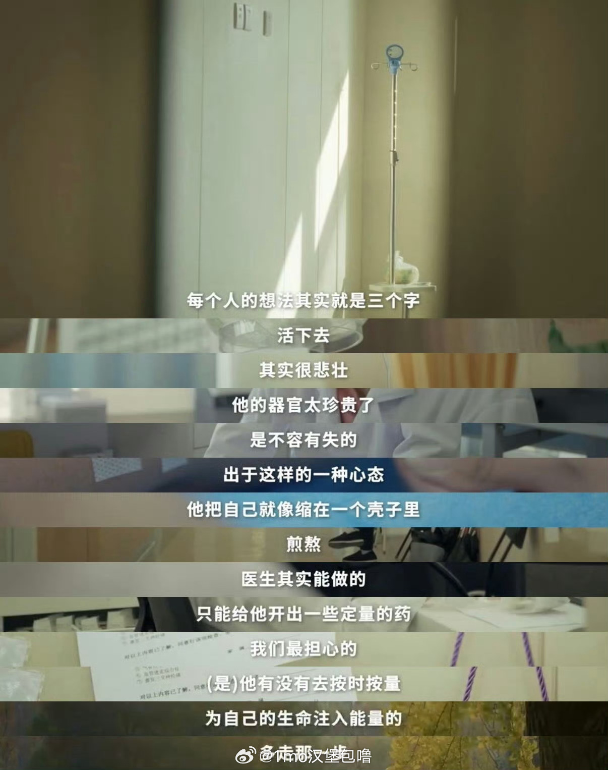 200位病友为临终老人的树浇水病友群每天为孙大爷的树浇水。当他离世，女儿接替“浇