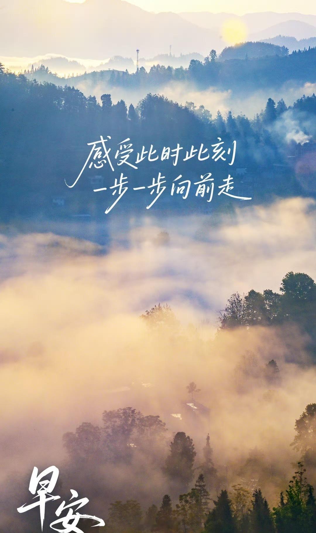 🌿✨【专注当下，步履从容】焦虑不是绊脚石，而是你向上生长的证明。深呼吸，感受此