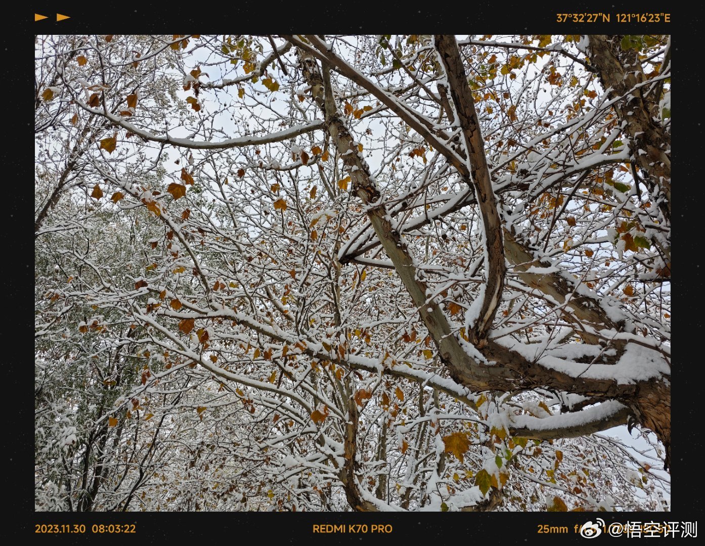 银装素裹，分外妖娆！烟台的雪，下起来真的是停不下来啊！#红米k70发布会#  ​