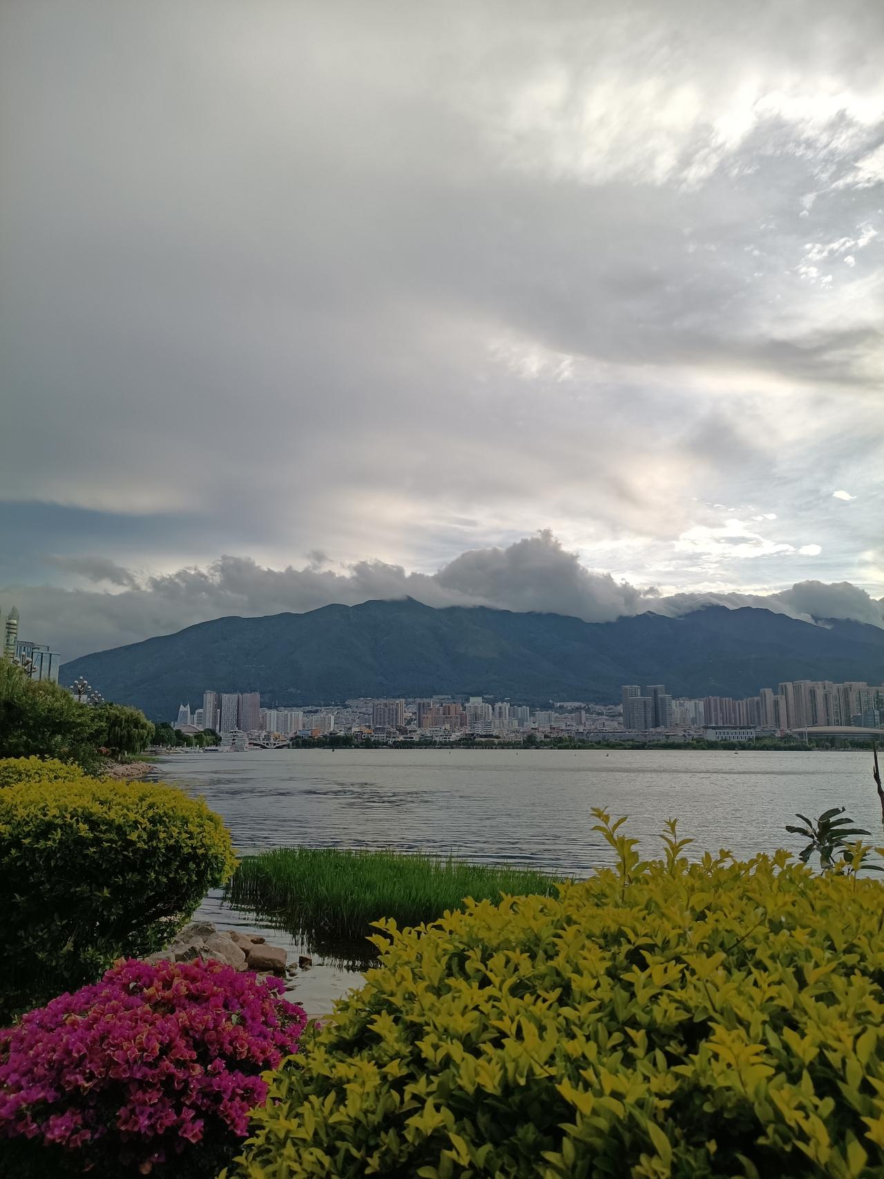 每日洱海
风景美景风景随手拍