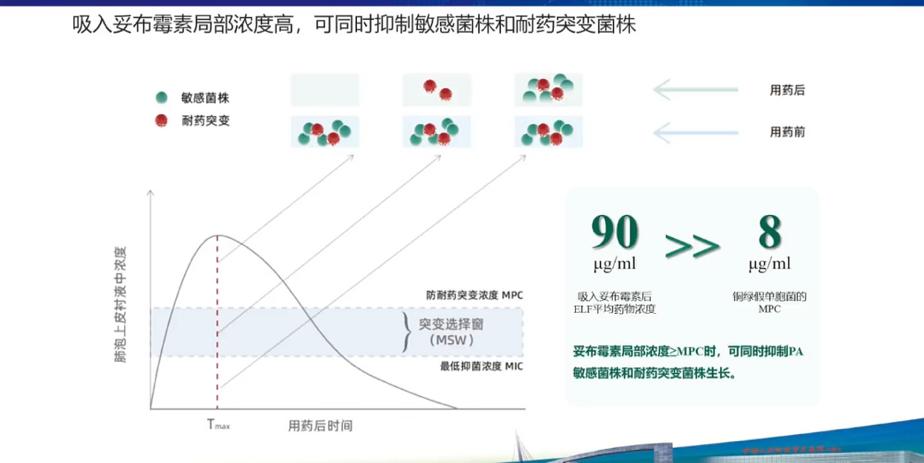 支气管扩张患者，长期反复咳嗽、咳黄痰、气短，气道雾化吸入妥布霉素，在支气管黏膜衬