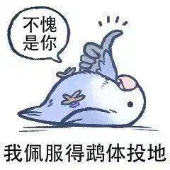 爱鸟的人爱生活