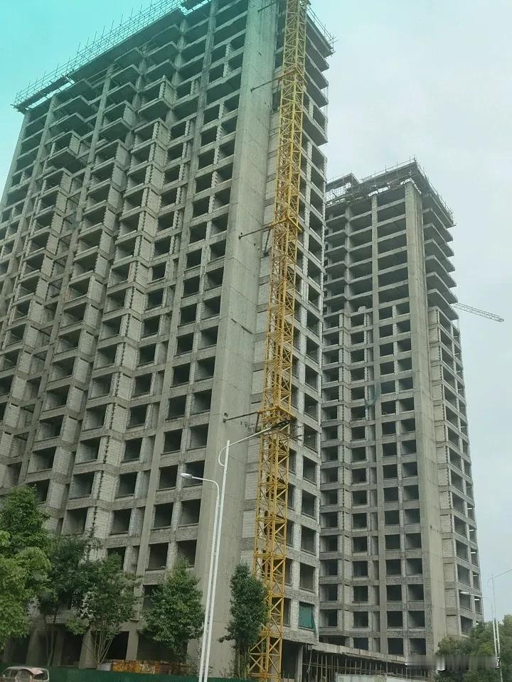 王国饮料没了以后，瑞丽江硕果仅存[呲牙]
当然，目前还有几个奶业。
不过话说回来