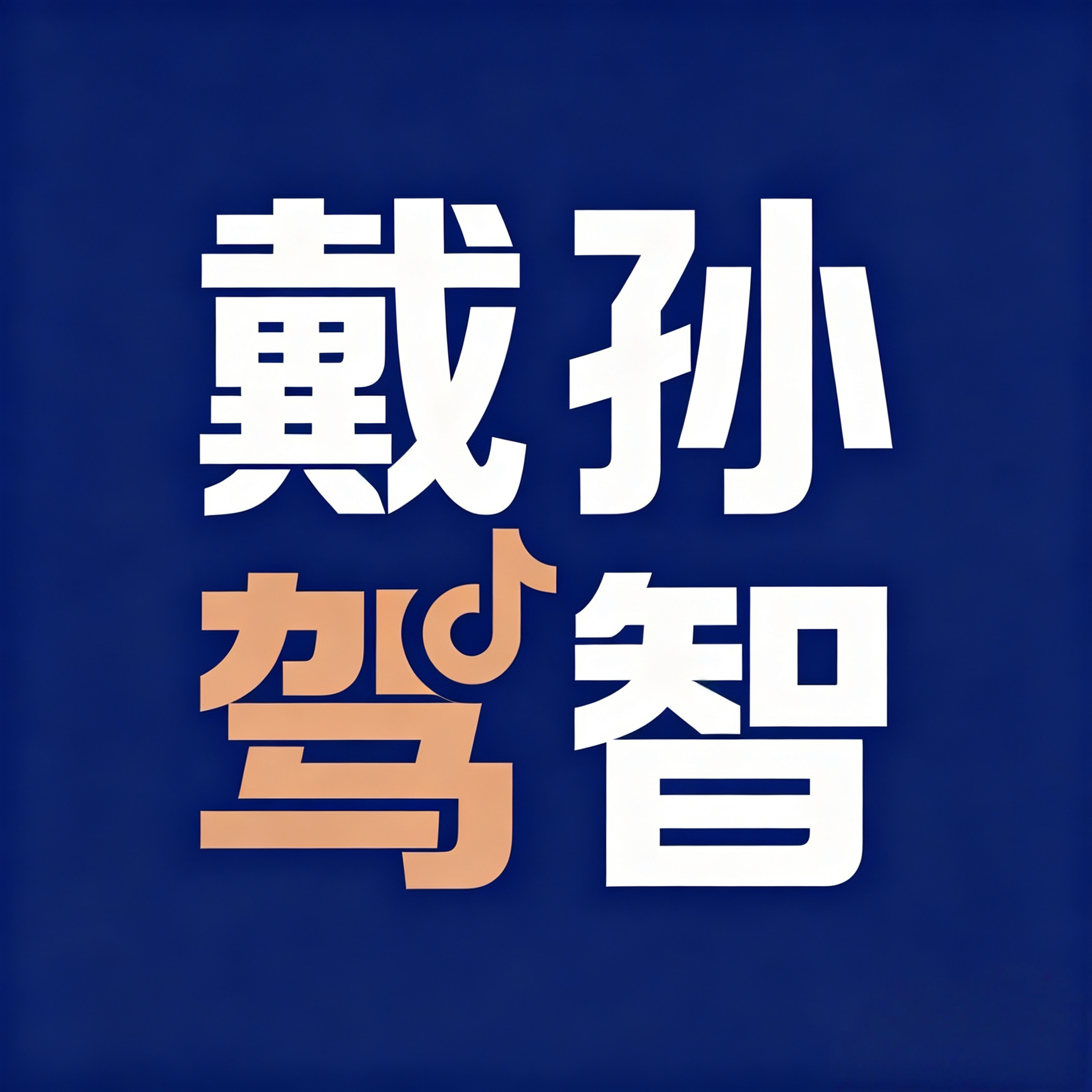 孙智戴驾 