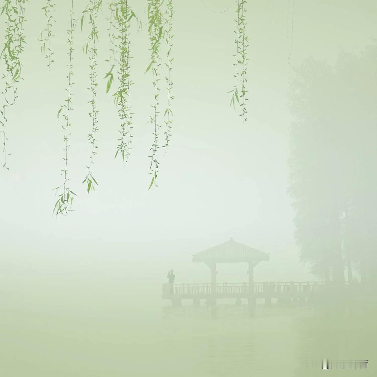 柳岸孤影，雾霭笼罩。