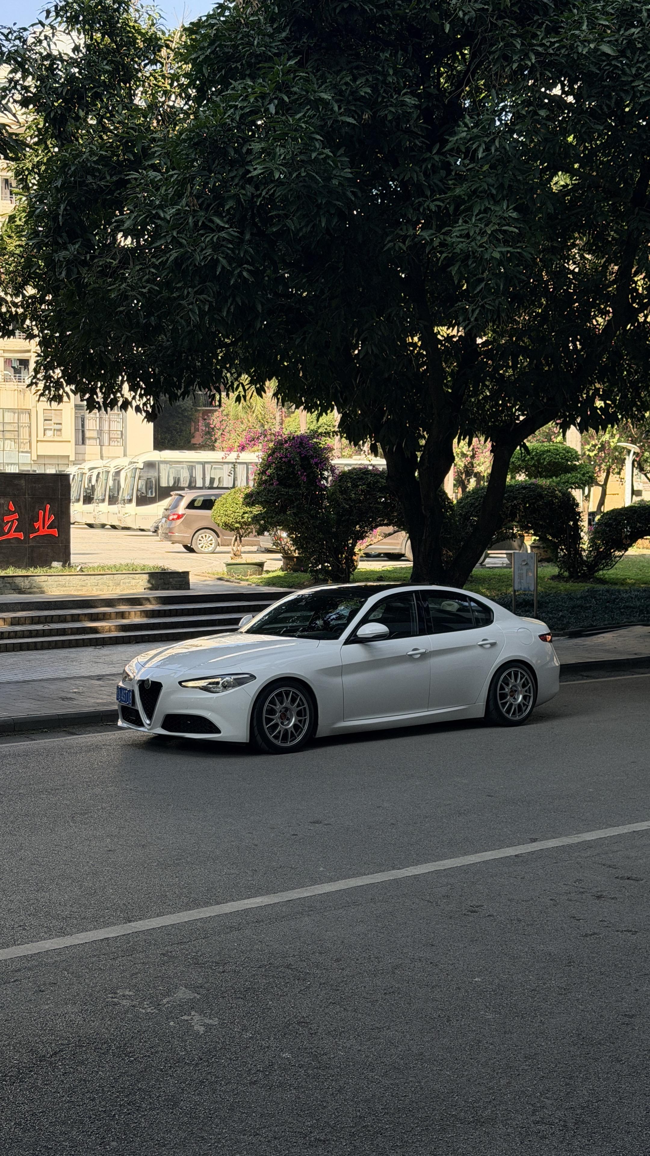 几个月没来菜园变化这么大