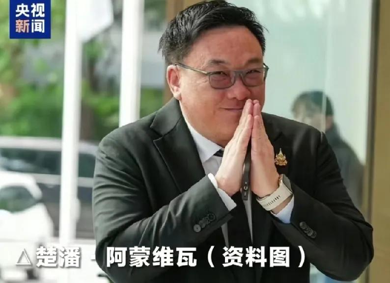 当地时间31日上午，泰国为泰党召开全体会议，楚潘票数过半，正式成为该党新党首，而