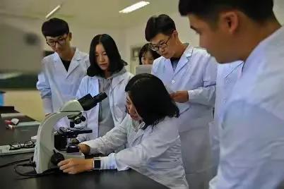[庆祝][庆祝]2025年临床医学的专业结构调整有哪些预测
对于2025年临床医