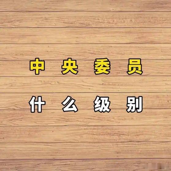 《中央委员是什么级别》中央委员是什么级别网页链接