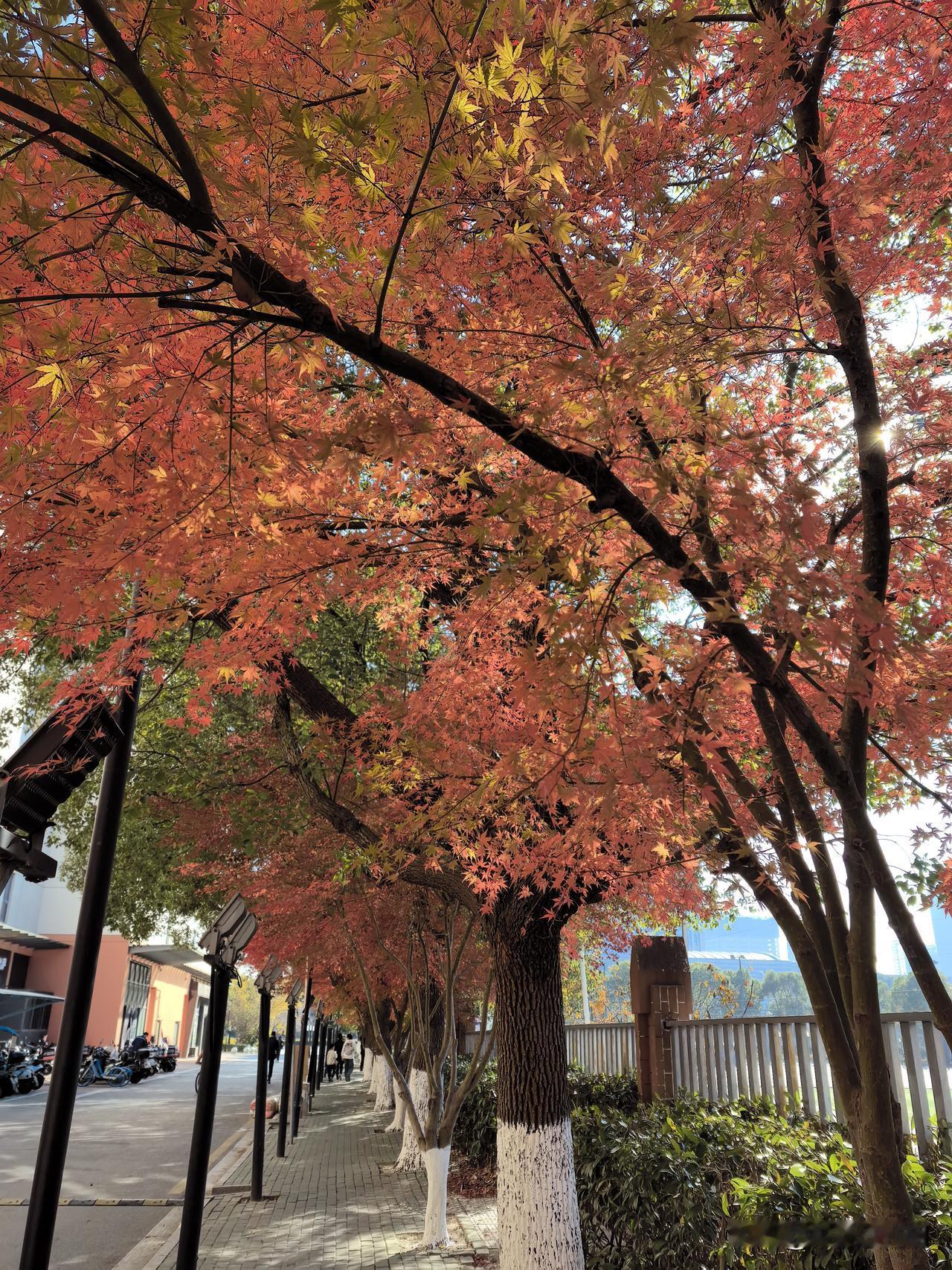 时代不同，鸡毛相似
一口气看完了刘震云的中篇小说《一地鸡毛》，全书最后落款：写于