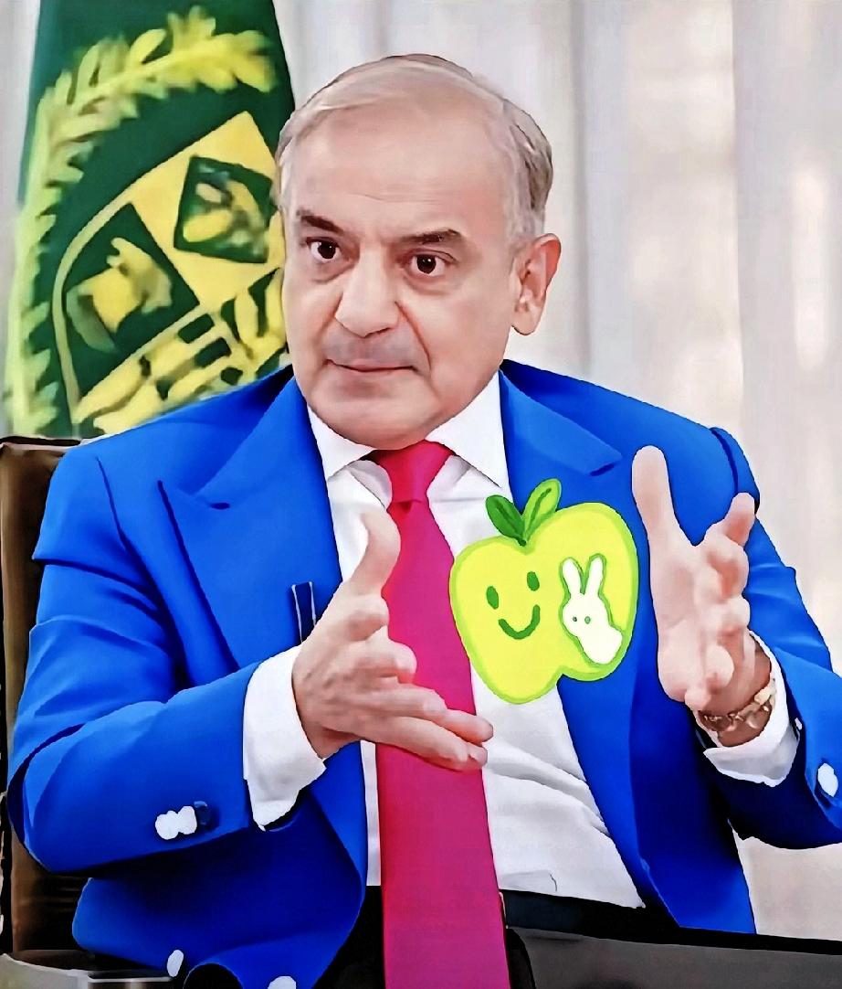 就在刚刚
巴基斯坦宣布了

11月23日，巴基斯坦总理谢里夫宣布了国家经济复兴倡