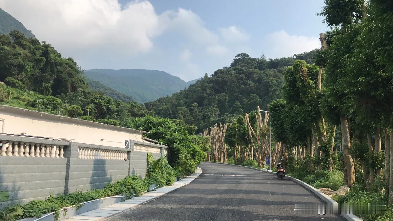 深圳 鹏城第一峰 梧桐山 不知道第几次登深圳最高峰梧桐山了，以前都是走盘山公路或