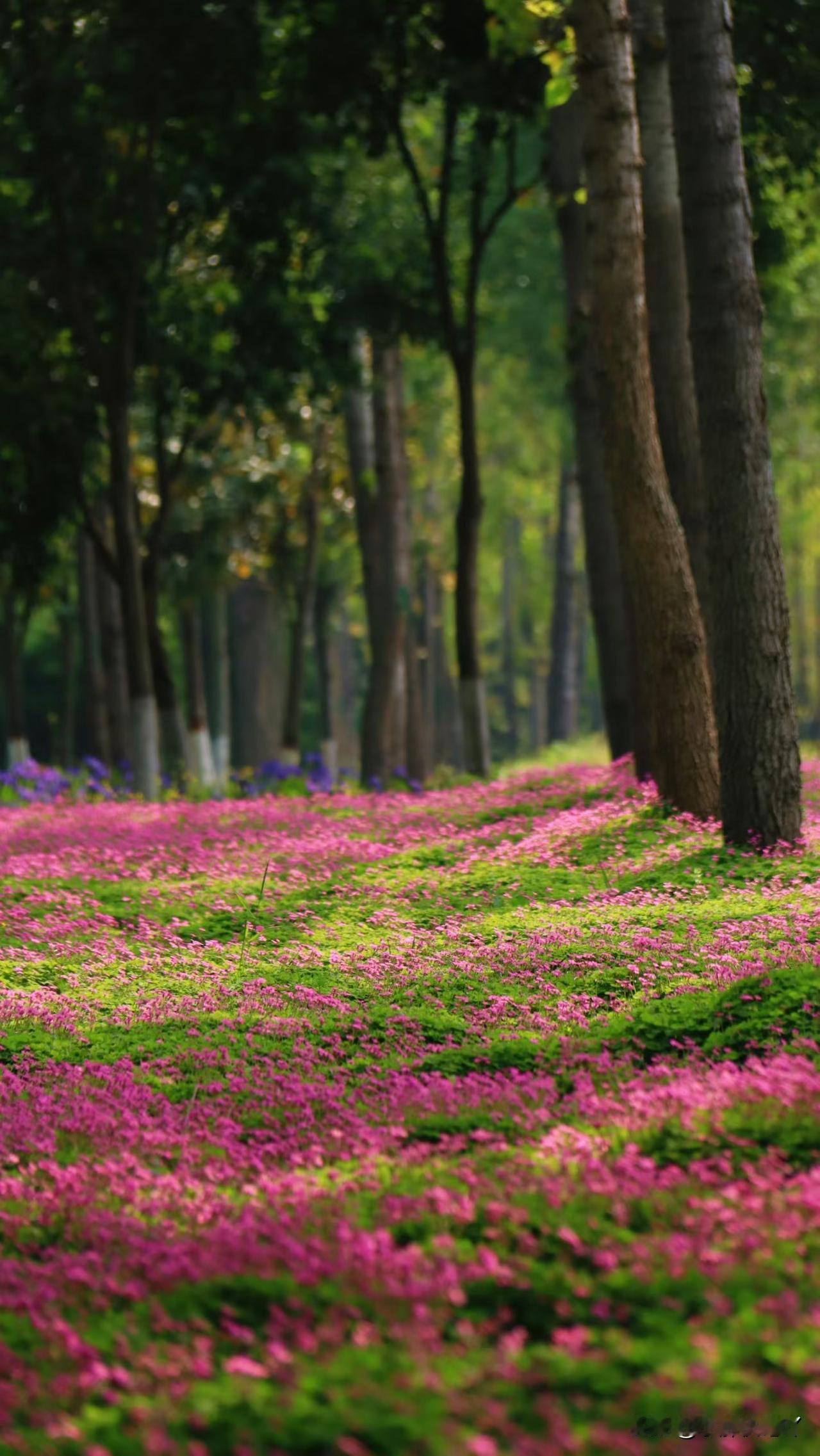 人可以穷，但不能懒。命是父母给的，路是自己走的。我们没有赚大钱的能力，就不要放弃