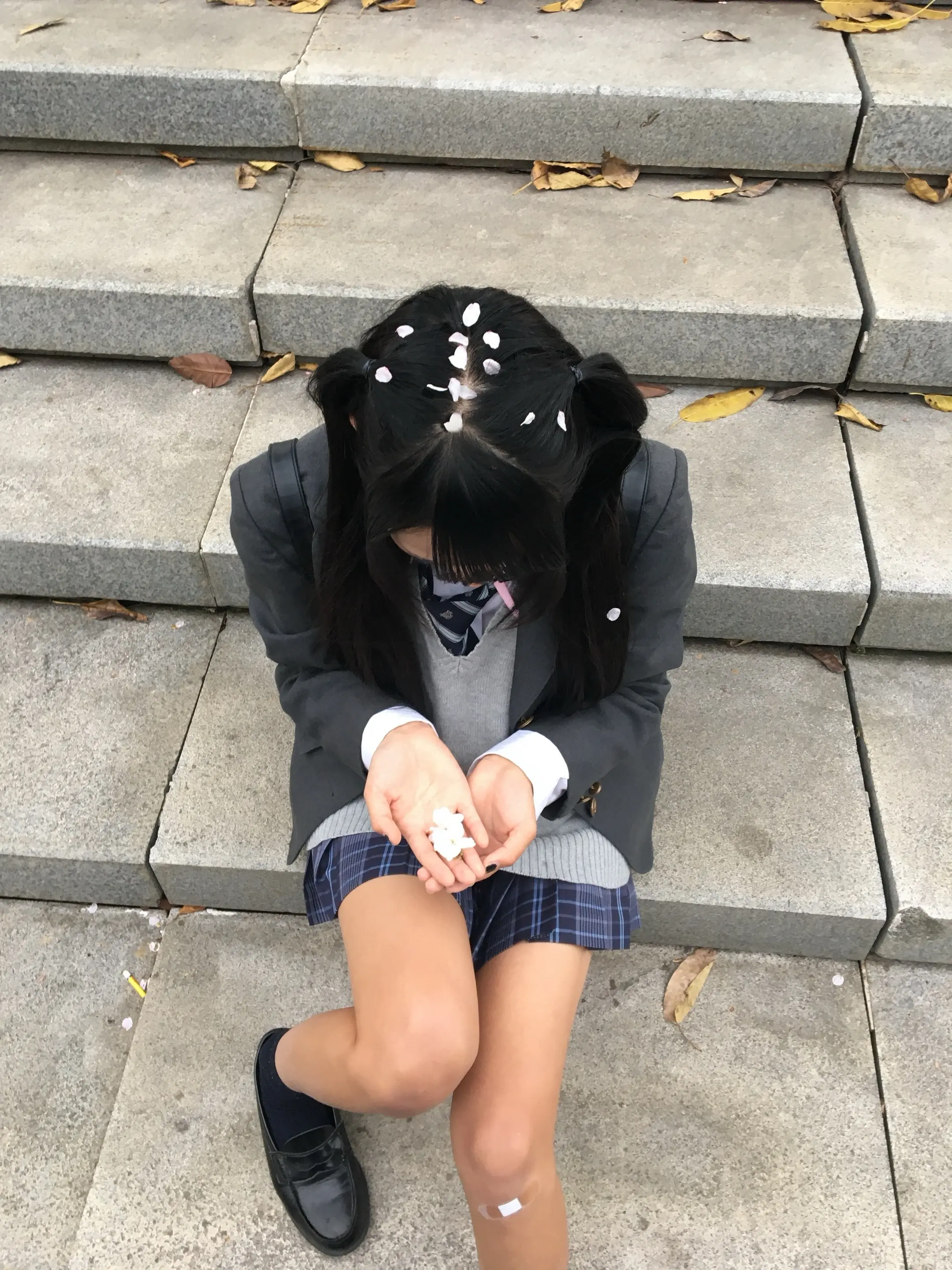 Sakura⋆˚✿˖°