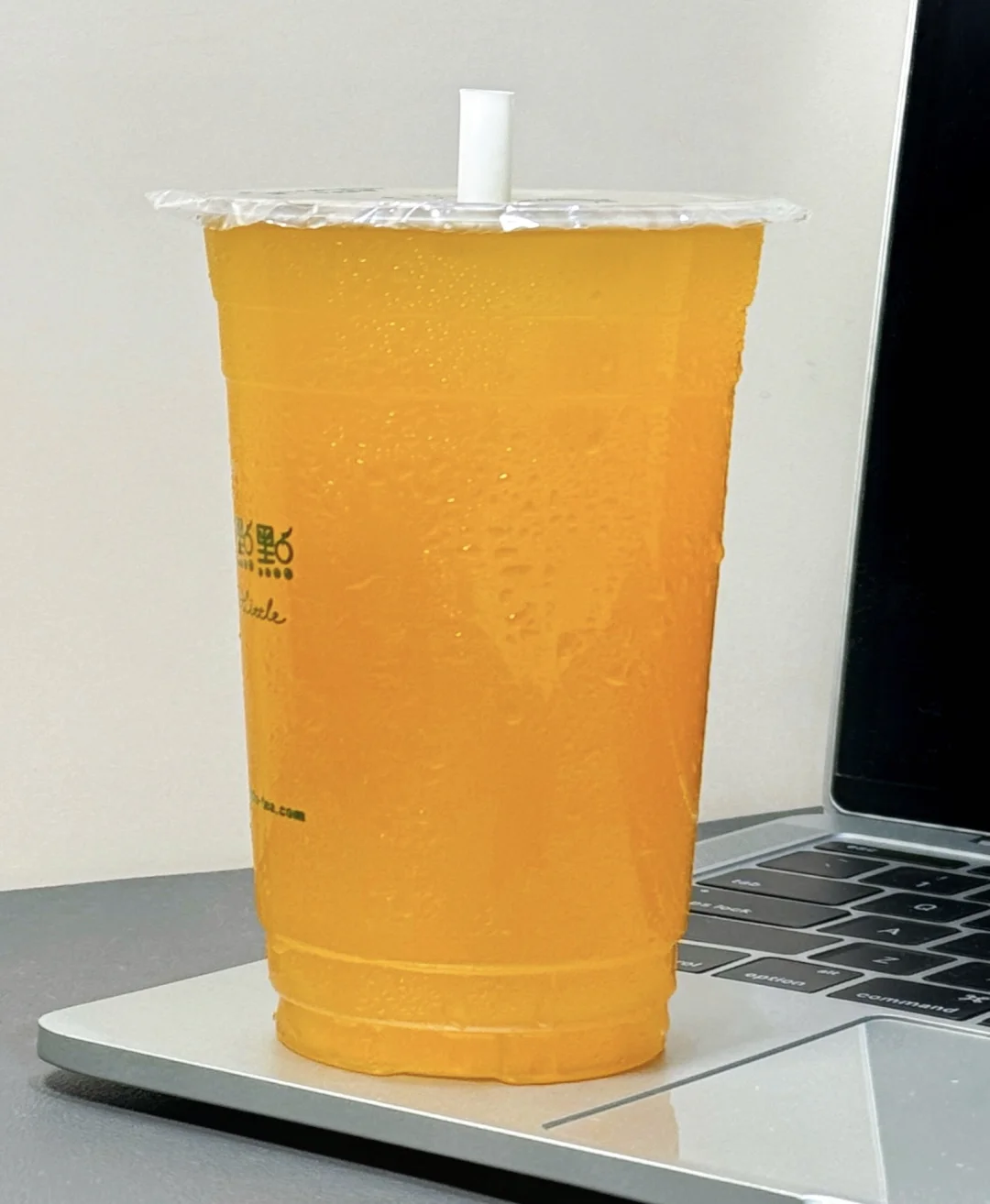 后悔只点了中杯！真的好喝到无语！！
