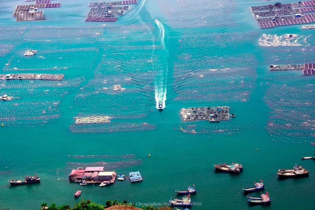 福州·奇达村｜在神仙小岛过几天原味生活      站在高处远远望去，蓝到发光的海