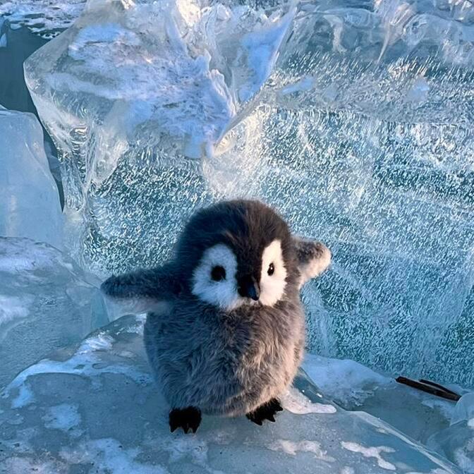 最近常被一段话触动：别慌，别慌，太阳落了有月光，月亮睡了有朝阳。昨日的暖阳烘不干