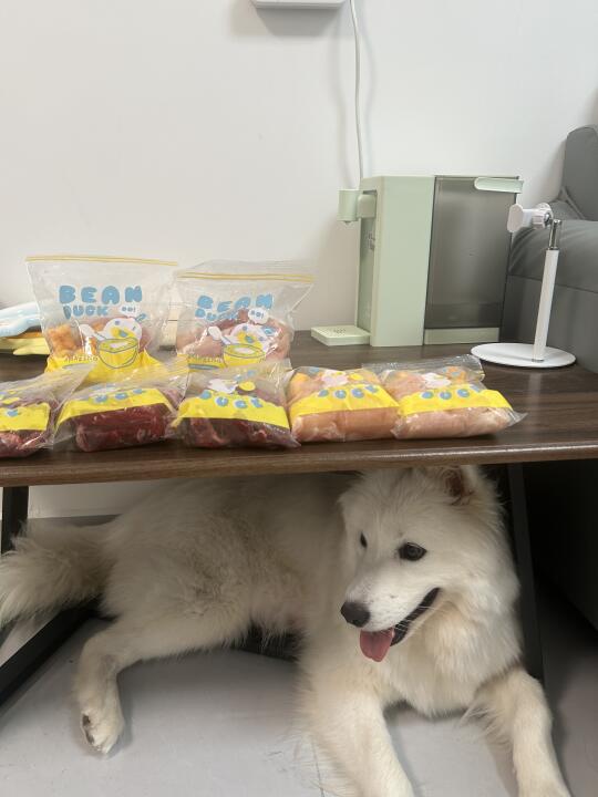 给小狗备餐
