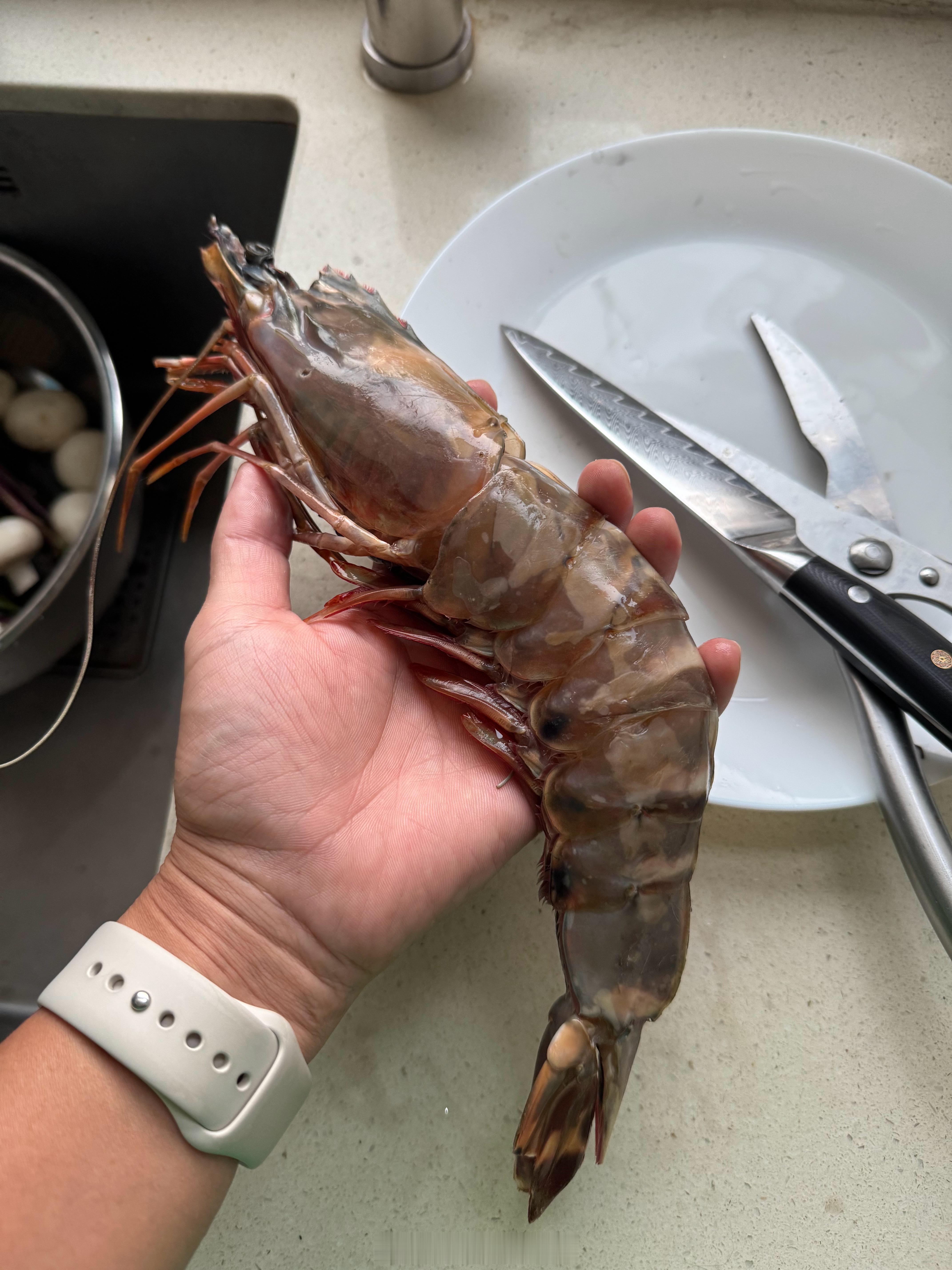 今日份减脂餐，三文鱼鳍煎着吃，比三文鱼肉好吃多了，关键鱼鳍便宜到白菜价[打cal