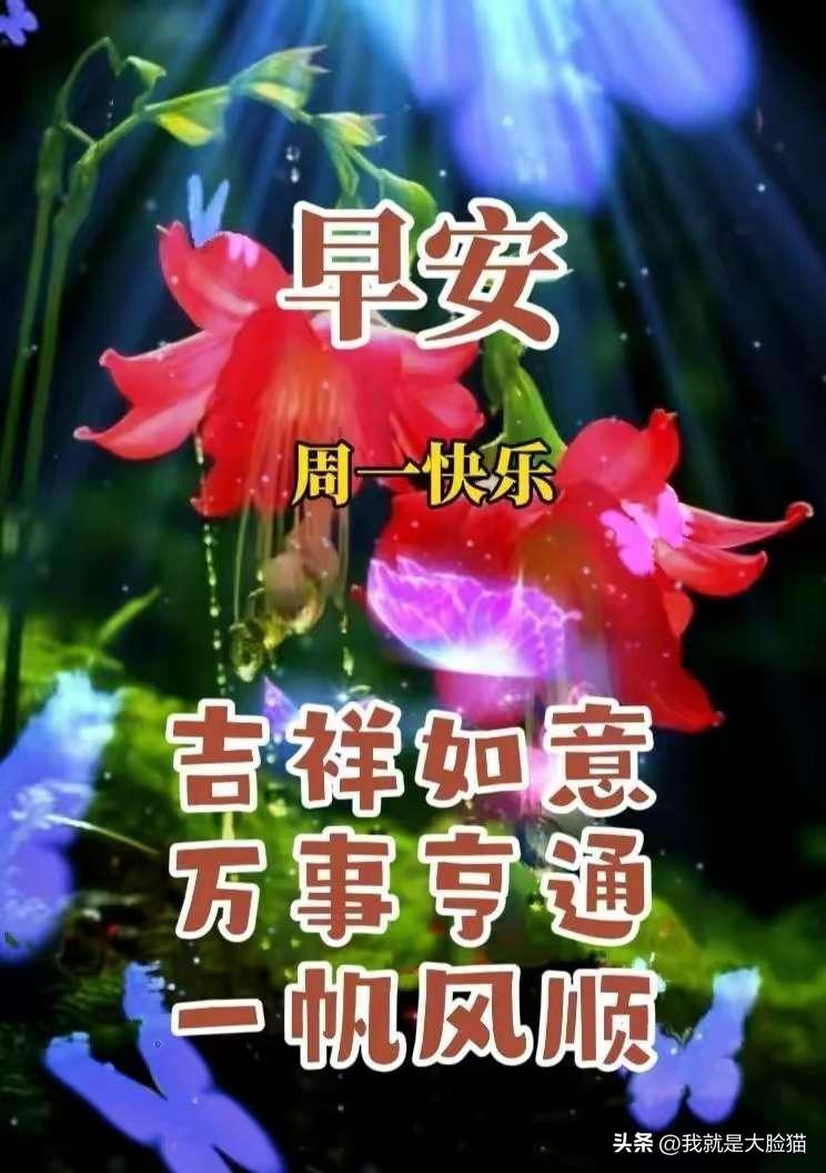 风风雨雨，是岁月。走走看看，是人生。健健康康，是底气。平平安安，是福气。
人生就