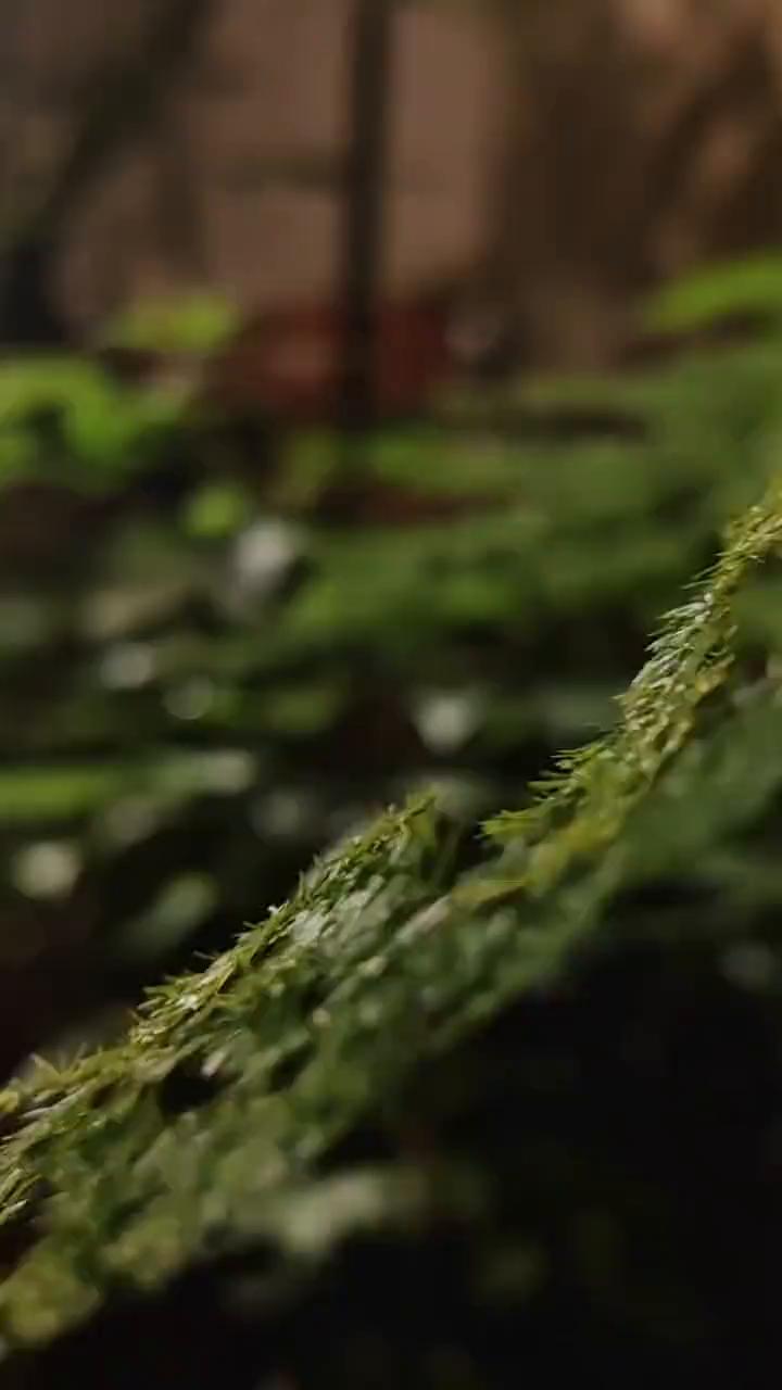耐心等待，好事即将发生。不用急着要结果，老天安排的比你自己选的会更好，也更周到。