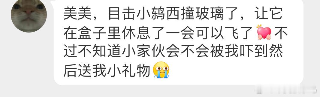 #鸟粉投稿# 捡到一只撞玻璃的乌鸫放飞的时候记得戴个口罩，离家远一点[开学季] 