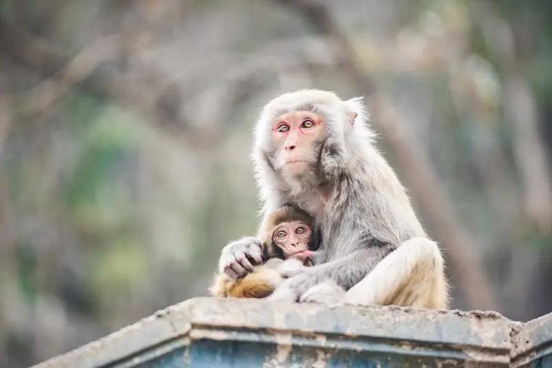 母爱是那永不熄灭的灯塔，在漫长岁月里，穿透风雨、迷雾，用无私且深沉的光芒，为我照