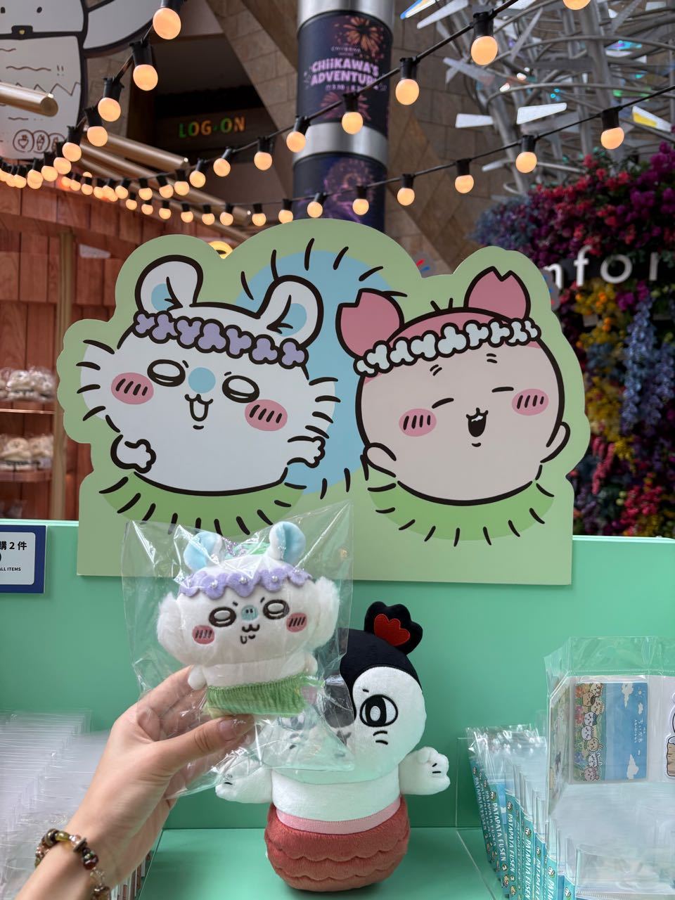 为了和臭老鼠打卡，日行2w步23575 