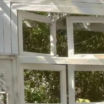 阳光信用 🌿阳光信用 🌿每日一善 谁的人生不是荆棘前行，你跌倒的时候，懊恼的