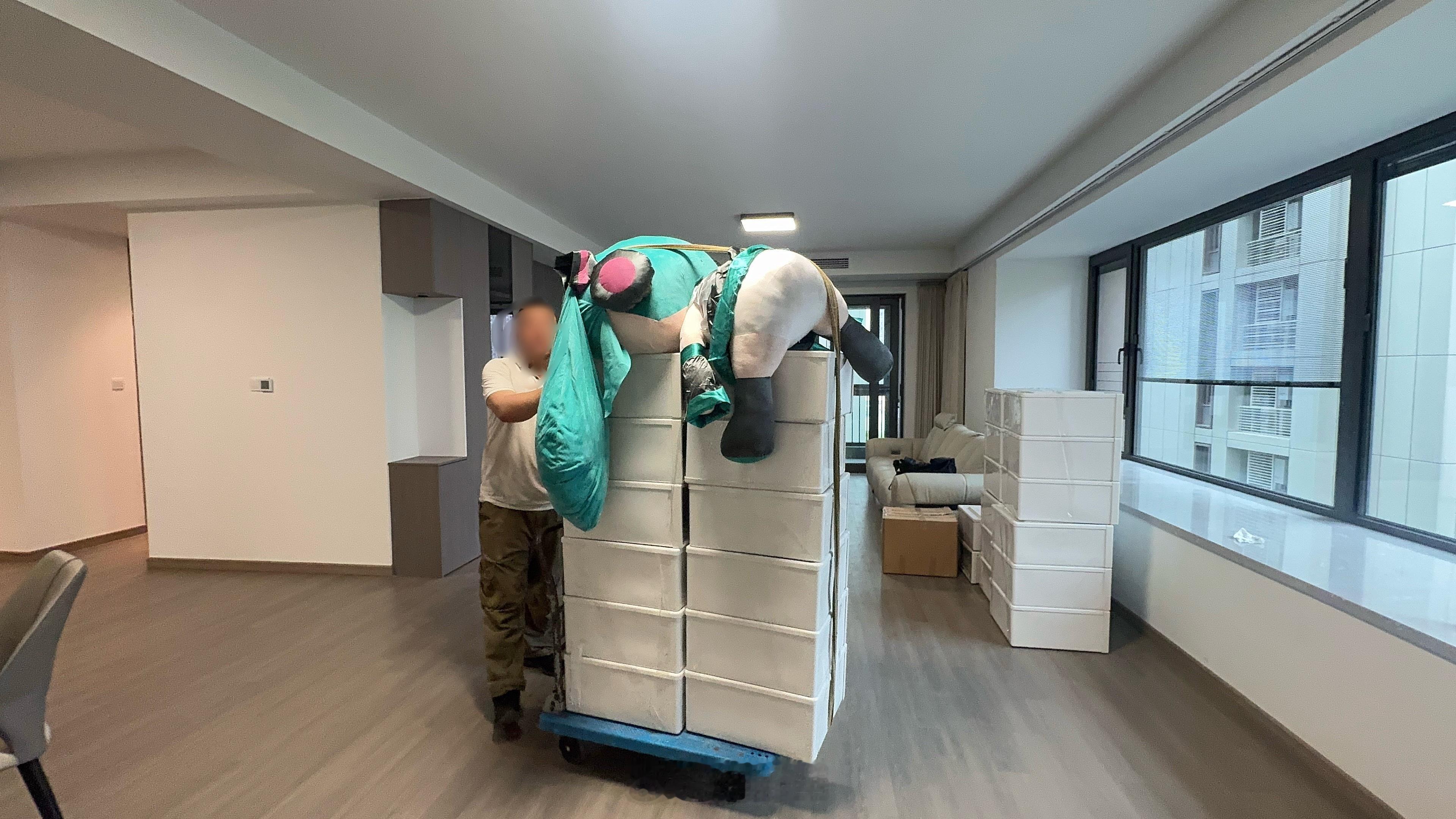 搬家中……家人们谁想看我第一次做Roomtour！！河野華