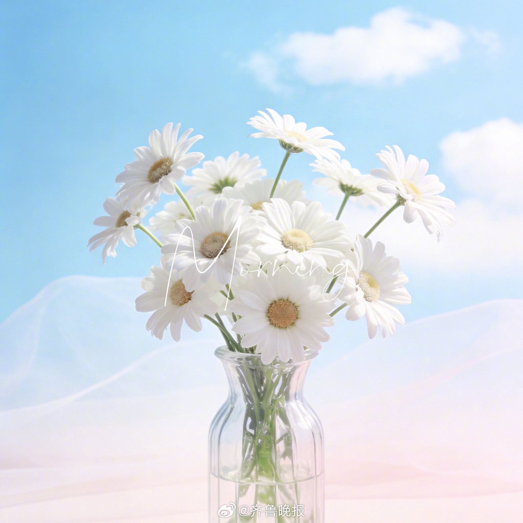 人因为热爱生活而更容易被治愈#早安#