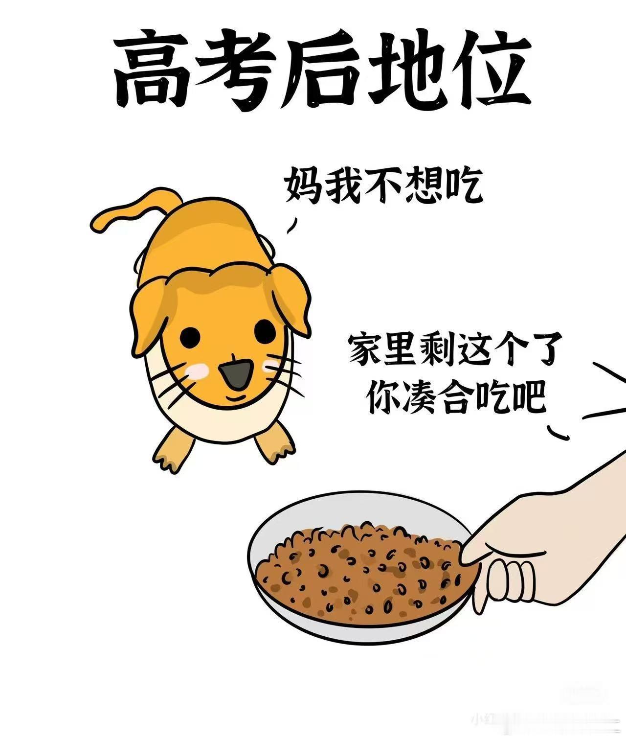 读书苦，苦读书，高考成绩定出路，善待孩子，不要岐视，也应以高考成绩论峛赢输… 