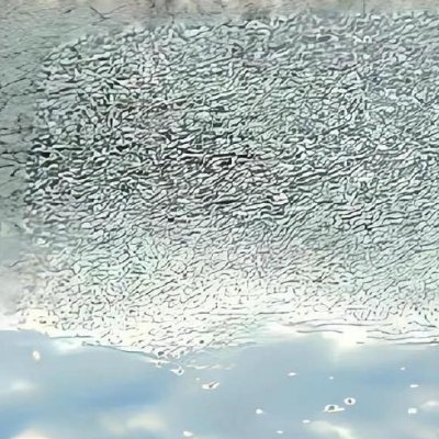 阳光信用 🌿每日一善 🌿阳光信用 善良是流动的暖阳，你传递的善意终会照亮归途