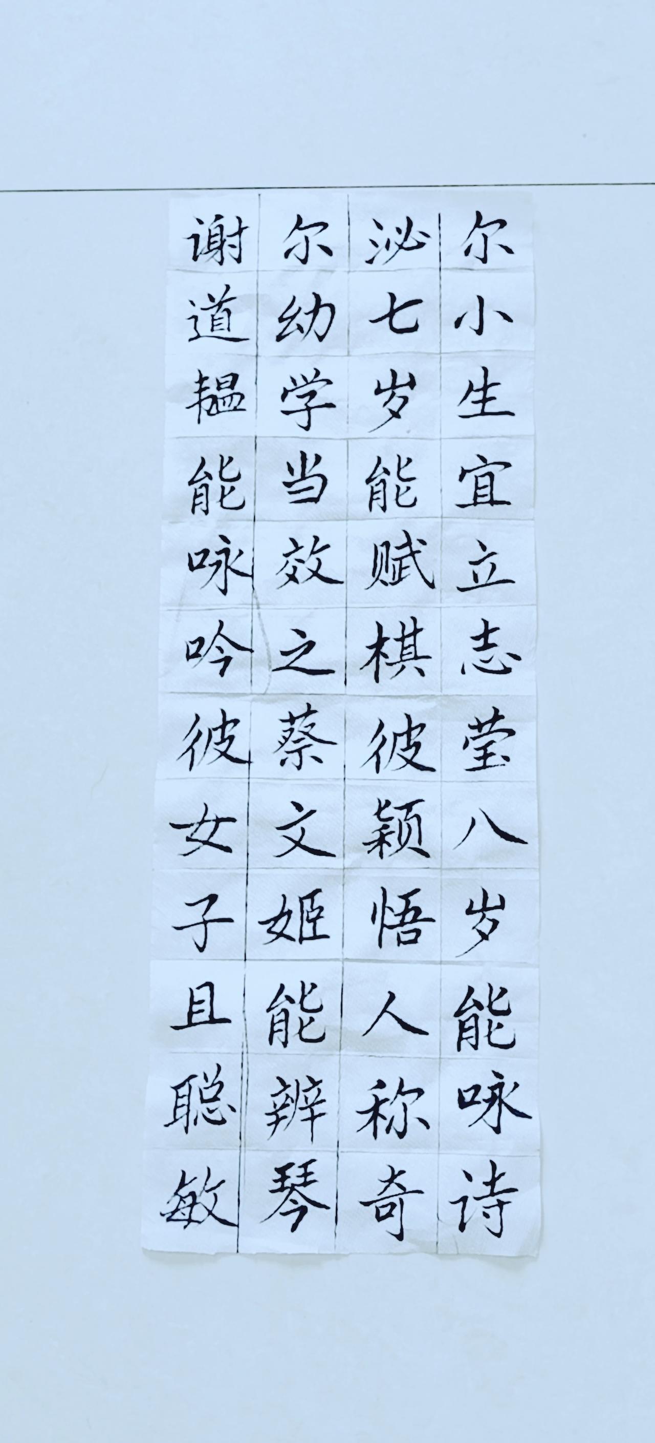 第二十一天练字打卡→正楷《三子经》，下班来了几笔，练练字，喝点茶挺好！